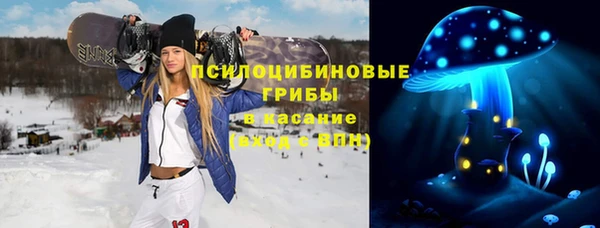ГАЛЛЮЦИНОГЕННЫЕ ГРИБЫ Мегион