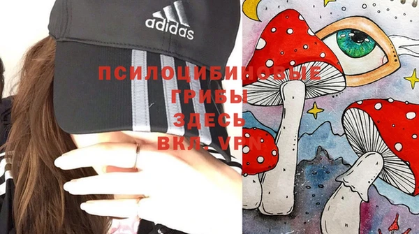 молекула духа Михайловск
