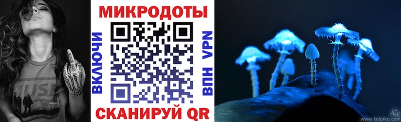 mega вход  Данков  Галлюциногенные грибы Psilocybe  как найти закладки 