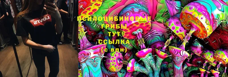 МЕГА как зайти  Данков  Галлюциногенные грибы MAGIC MUSHROOMS  купить  